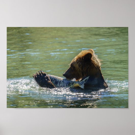 Grizzly Beer heeft een zalm gevangen Poster (Voorkant)
