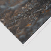 Grizzly Beer in de Bossen Decoupage Tissuepapier (Detail)