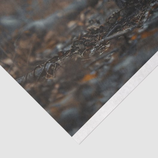 Grizzly Beer in de Bossen Decoupage Tissuepapier (Detail)