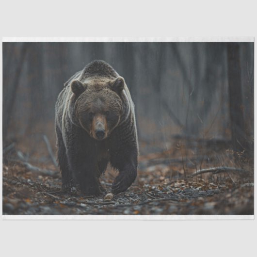 Grizzly Beer in de Bossen Decoupage Tissuepapier (Voorkant)