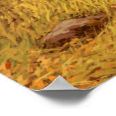 Grizzly Beer in de Rocky Mountains / AF-006beer,g Poster (Hoek)