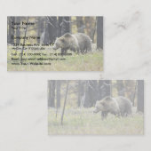 Grizzly Beer in het veld in het Nationaal Park Yel Visitekaartje (Voorkant / Achterkant)