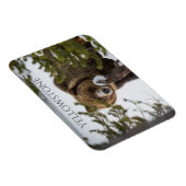 Grizzly Beer in sneeuw, Yellowstone National Park Magneet (Rechterzijde)