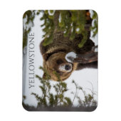 Grizzly Beer in sneeuw, Yellowstone National Park Magneet (Verticaal)