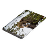 Grizzly Beer in sneeuw, Yellowstone National Park Magneet (Linkerzijde)