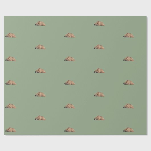 grizzly beer inpakpapier (Vlak)