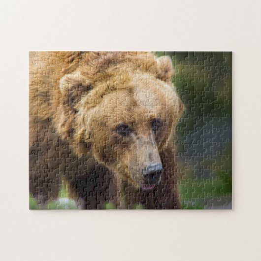 Grizzly Beer Legpuzzel (Horizontaal)