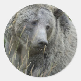 Grizzly_Beer_Liefhebbers Ronde Sticker