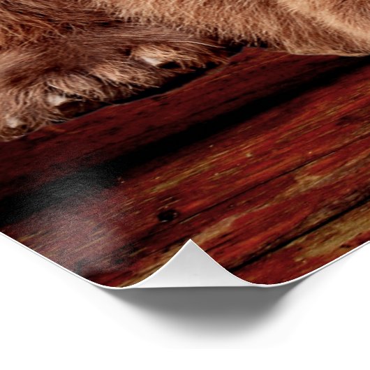 GRIZZLY BEER LOG CABIN POSTERS (Hoek)