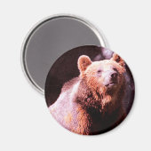 grizzly beer magneet (Voorkant / Achterkant)