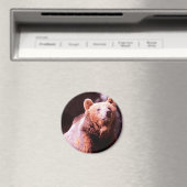 grizzly beer magneet (Insitu (Vaatwasser))