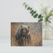 Grizzly Beer met Blueberry Lips Briefkaart (Staand voorkant)