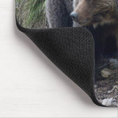 Grizzly Beer met Cubs Mousepad Muismat (Hoek)