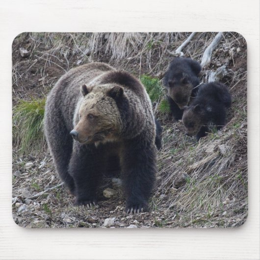 Grizzly Beer met Cubs Mousepad Muismat (Voorkant)