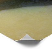 Grizzly Beer met een draai Poster (Hoek)