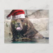 Grizzly Beer met Santa Hat Feestdagenkaart (Voorkant)