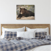 Grizzly Beer met snoepsnoer Canvas Afdruk (Insitu (Slaapkamer))