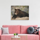 Grizzly Beer met snoepsnoer Canvas Afdruk (Insitu (Woonkamer))