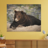 Grizzly Beer met snoepsnoer Canvas Afdruk (Insitu (Woonkamer))