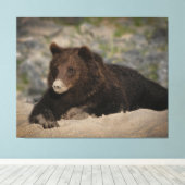 Grizzly Beer met snoepsnoer Canvas Afdruk (Insitu (Houten vloer))
