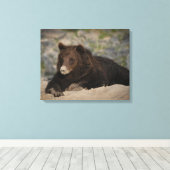 Grizzly Beer met snoepsnoer Canvas Afdruk (Insitu (Houten vloer))
