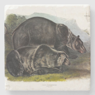 Grizzly Beer (Noord-Amerikaans bruin Beer) - Audub Stenen Onderzetter