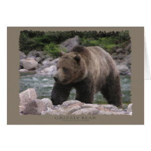 Grizzly Beer - Pastels