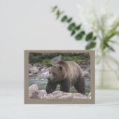 Grizzly Beer - Pastels Briefkaart (Staand voorkant)