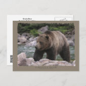 Grizzly Beer - Pastels Briefkaart (Voorkant / Achterkant)
