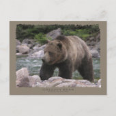 Grizzly Beer - Pastels Briefkaart (Voorkant)