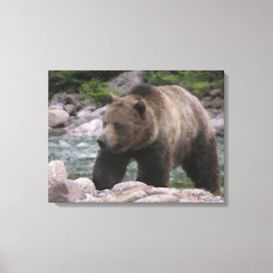 Grizzly Beer - Pastels Canvas Afdruk
