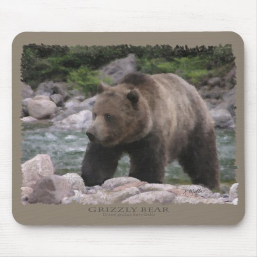Grizzly Beer - Pastels Muismat (Voorkant)