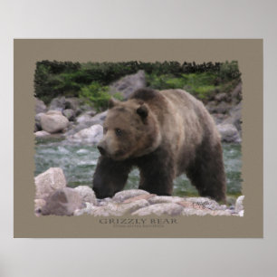 Grizzly Beer - Pastels Poster