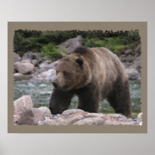 Grizzly Beer - Pastels Poster