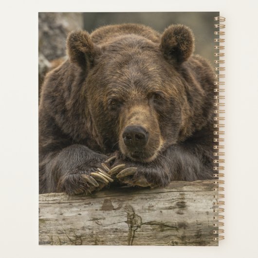 Grizzly Beer Planner (Achterkant)