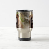 Grizzly Beer portret dicht Reisbeker (Center)