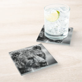 Grizzly beer portret glazen onderzetter