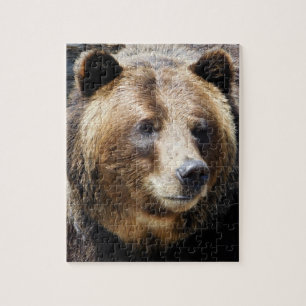 Grizzly Beer Portret Legpuzzel