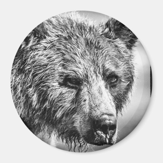 Grizzly beer portret magneet (Voorkant)