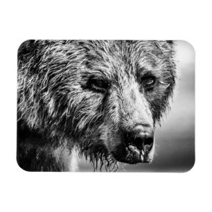 Grizzly beer portret magneet