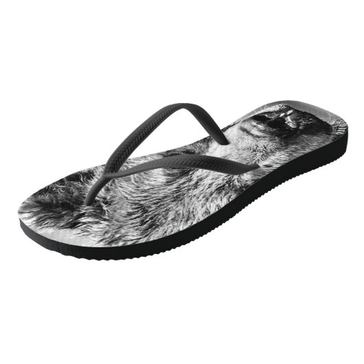 Grizzly beer portret teenslippers (Schuin)