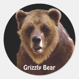 Grizzly Beer Portret Wildlife Stickers
