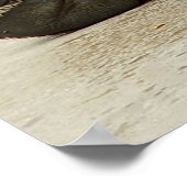 Grizzly Beer Poster (Hoek)