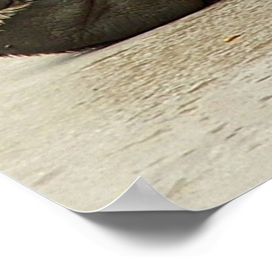 Grizzly Beer Poster (Hoek)