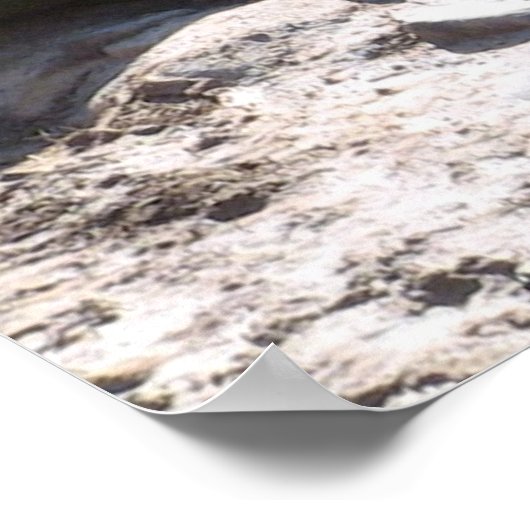 Grizzly Beer Poster (Hoek)