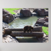 Grizzly Beer Poster (Voorkant)