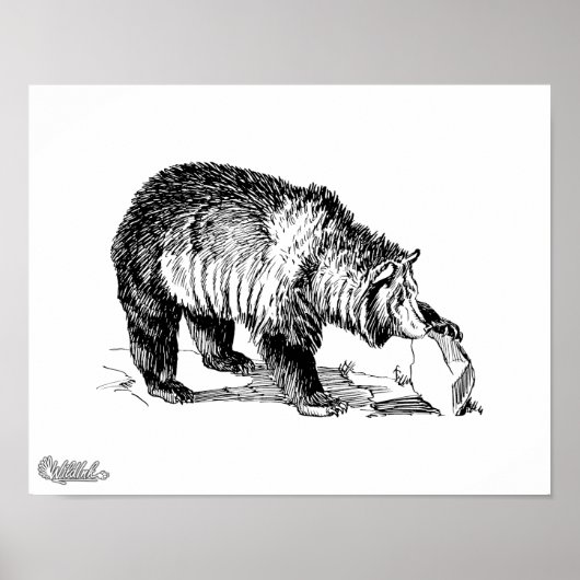 Grizzly Beer Poster (Voorkant)