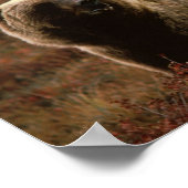 Grizzly Beer Poster (Hoek)