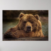 Grizzly Beer Poster (Voorkant)