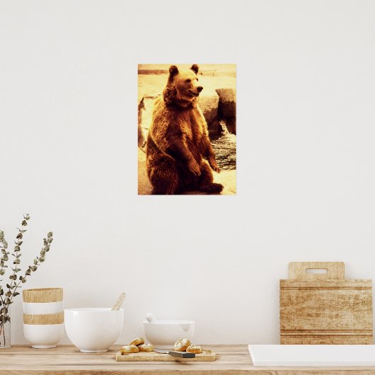 grizzly beer print (Keuken)